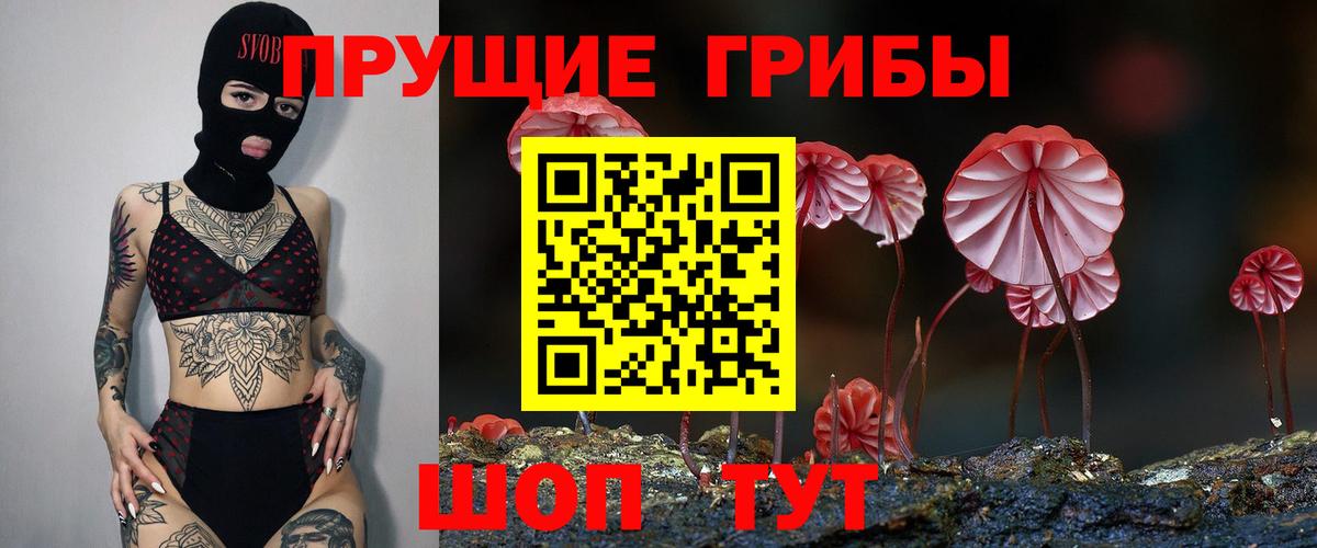 Псилоцибиновые грибы Cubensis Дедовск